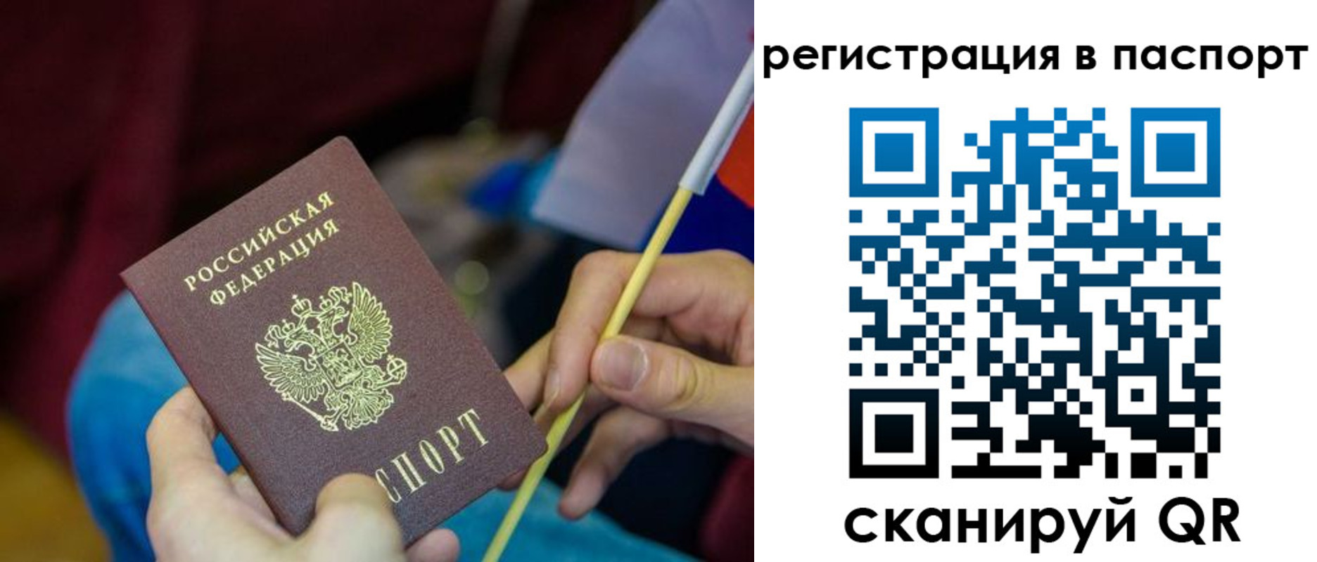 временная регистрация поиск в Пугачёве
